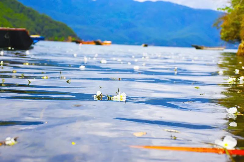 瀘沽湖旅游