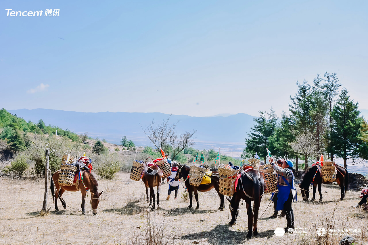 麗江玉湖村茶馬古道徒步團建