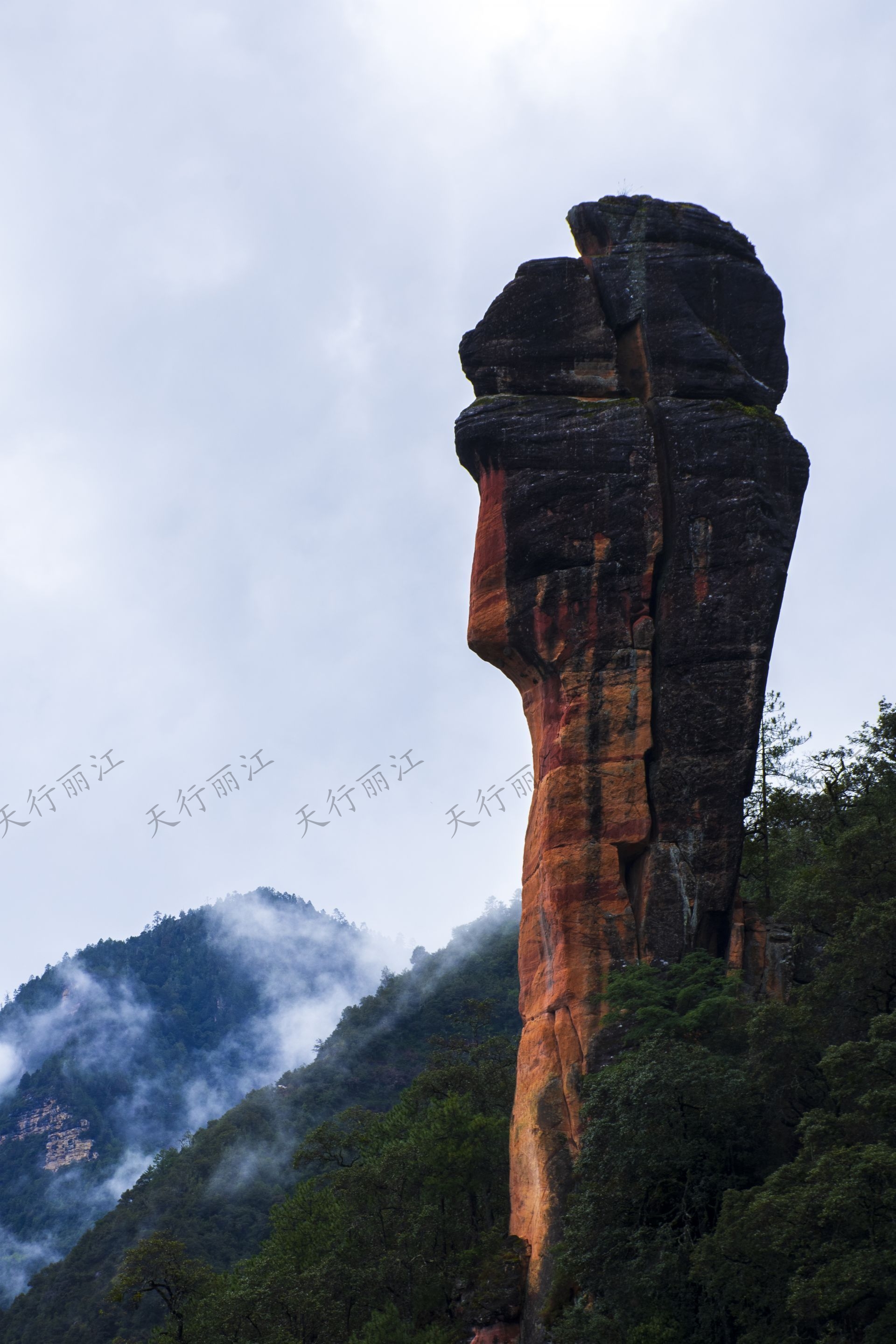 麗江老君山黎明景區(qū)因其避世的清幽、壯美的丹霞，成為了一處令人向往的秘境。 在這里，可以游壯美千龜山。景區(qū)以丹霞地貌聞名，是國(guó)內(nèi)面積最大、發(fā)育最完整的丹霞地貌。以千龜山為代表，其形如烏龜?shù)膲邀惥坝^，堪稱中國(guó)一絕。游人可乘坐索道，輕松游覽這一奇觀。