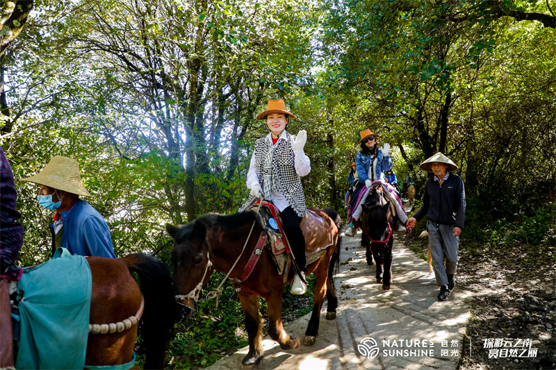 麗江拉市海茶馬古道騎馬團(tuán)建